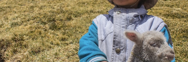 OG真人平台历史赛程查询与战绩回顾功能